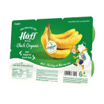 Hoff sữa chua trái cây Organic vị chuối 55g x 6 hộp